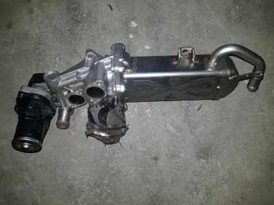 EGR-koeler Volkswagen Golf VI 1.6 TDI 16V 2011