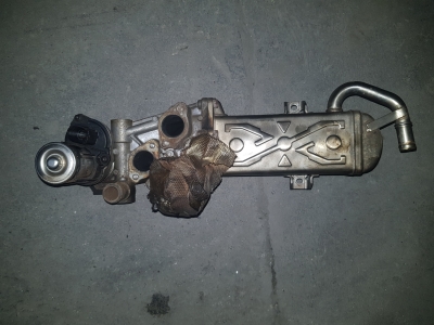 EGR-koeler Volkswagen Caddy III 1.6 TDI 16V 2014