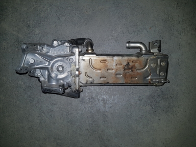 EGR-koeler Mercedes-Benz Sprinter 5t CDI 16V 2013