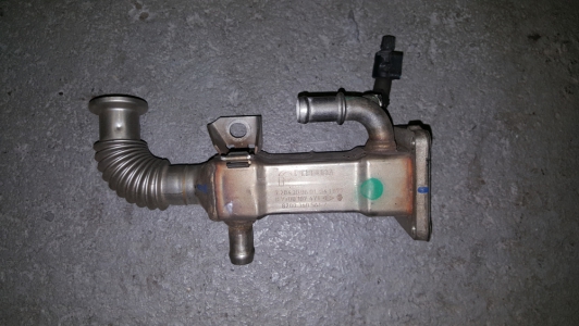 EGR-koeler Renault Scenic 1.9 dCi 2006