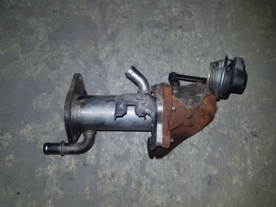 EGR-koeler Renault Kangoo 1.5 dCi 2009