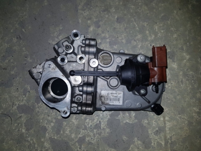 EGR-koeler Opel Combo 1.3 CDTi 2013